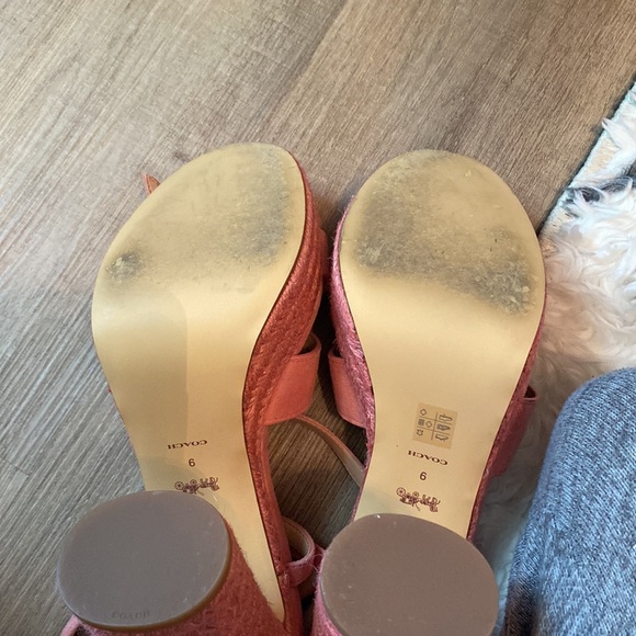 Coach platform sandals - Picture 5 of 5